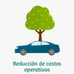 5 cotos operativos