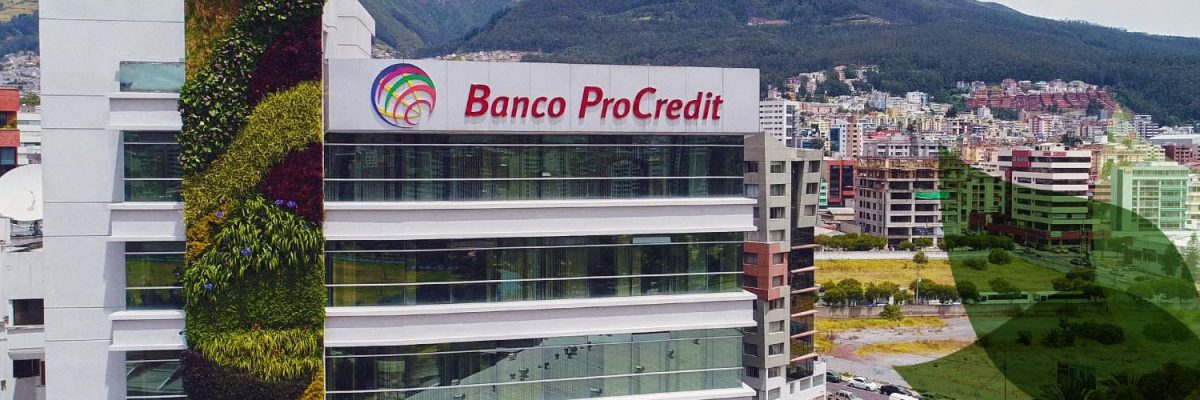 banco-verde-procredit