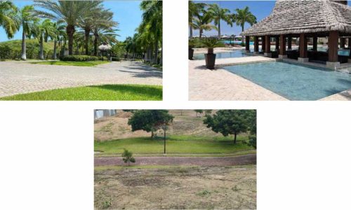 bienes-ayangue-03-20