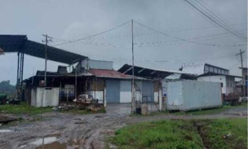 bienes-colimes-01-20