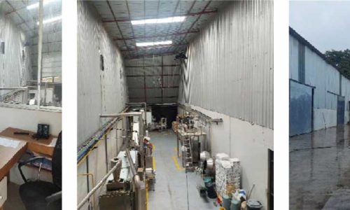 bienes-colimes-03-20