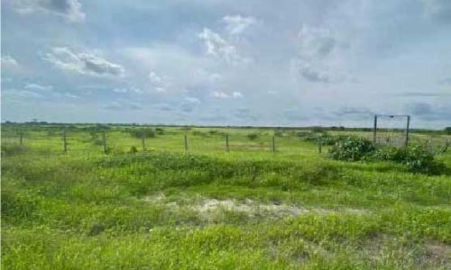 bienes-santa-elena-01-20