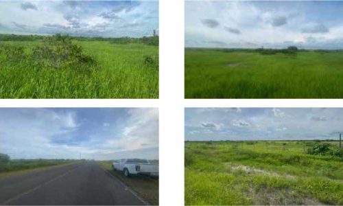 bienes-santa-elena-03-20